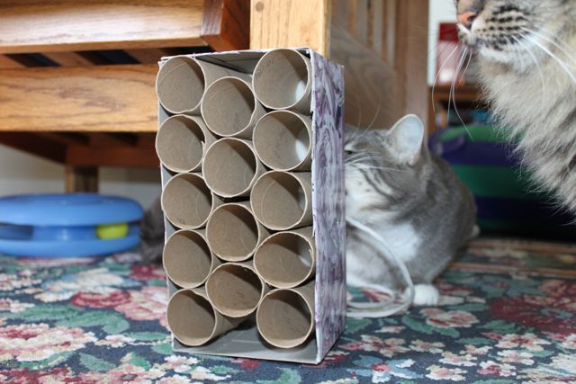 20 grandes diseños para que tu gato termine de hacerse con tu casa