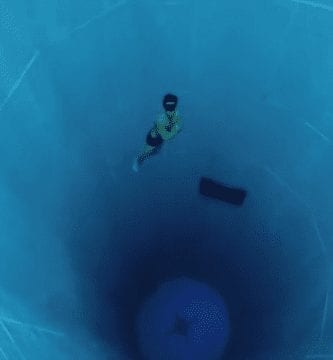 nemo2