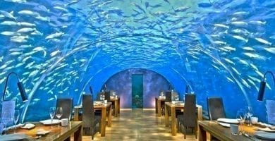 undersea