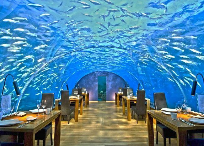 restaurantes con las mejores vistas undersea