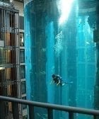Radisson Blu Berlin 6