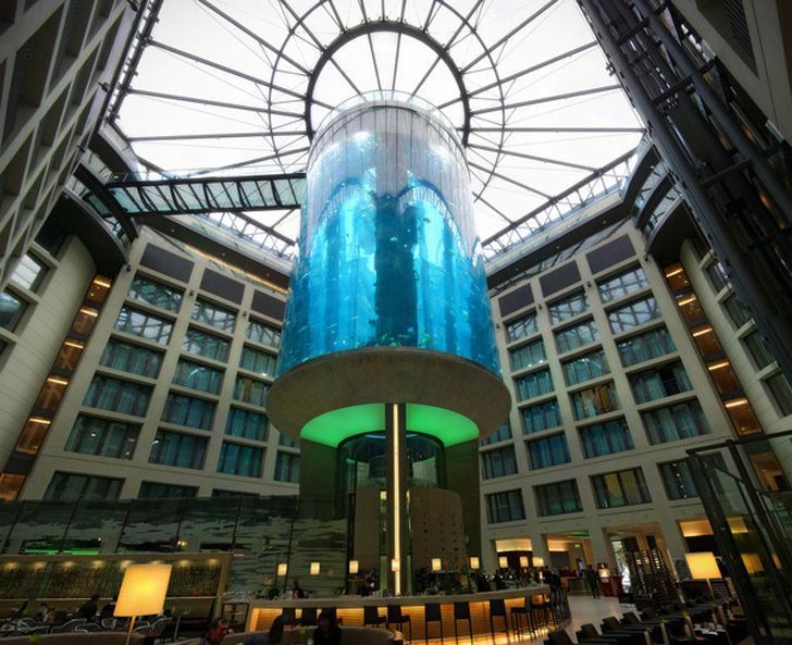 Un acuario cilíndrico enorme está en el hall el hotel Radisson