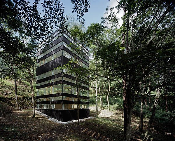 Espectacular vivienda de cristal y madera oculta en un bosque de Japón