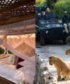 hotel leones destacada