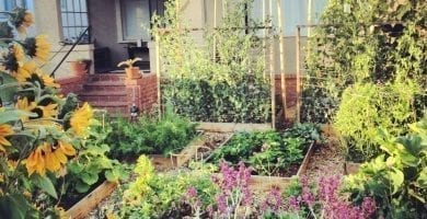 jardin1