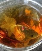 bolsas te peces01