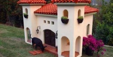 dog houses17