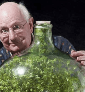 jardin autosostenible