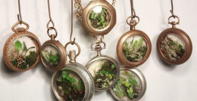 mini jardines 10