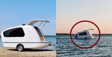 sealander destacada
