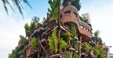 arboles