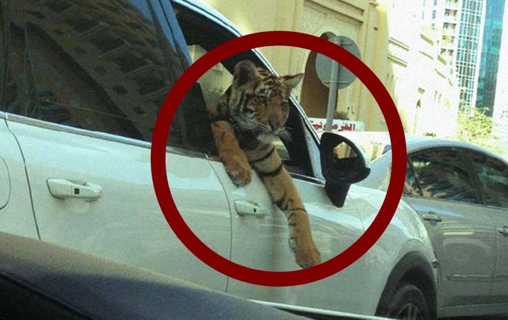 dubai locuras destacada copia