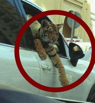dubai locuras destacada copia