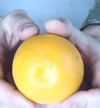 pelar naranja