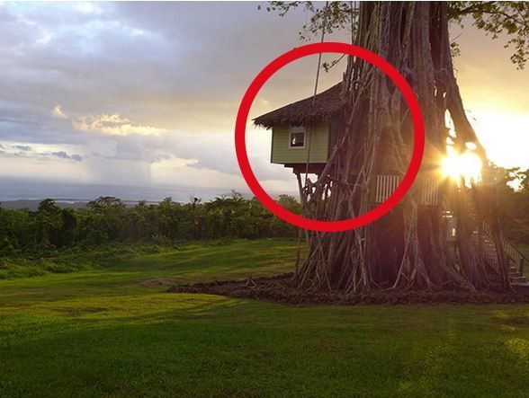 casa arbol destacada