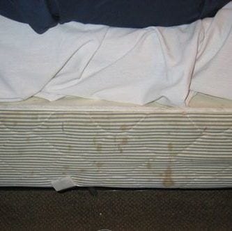 hoteles horribles 12