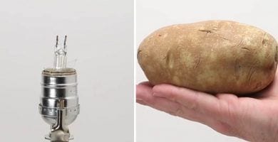 bombilla destacada