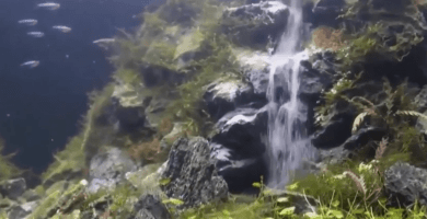 cascada destacada