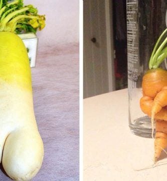 comida forma extrana destacada