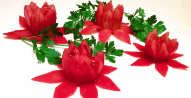 flor tomate destacada