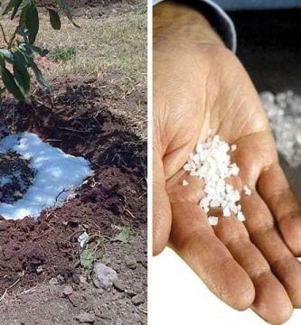 lluvia solida destacada