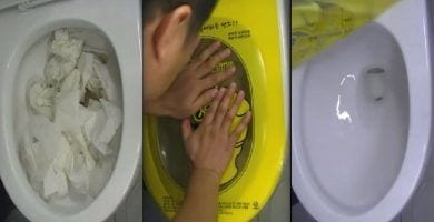 desatascar sanitario 1024x527