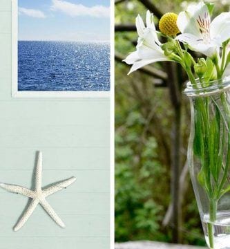 reciclar botellas destacada