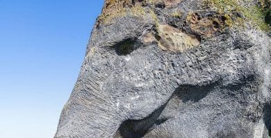 elefante islandia 02