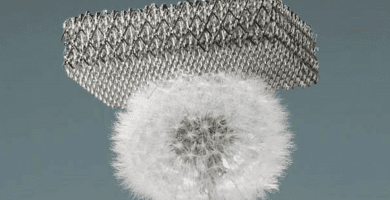 microrreticula