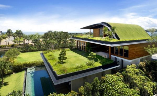 Los 'techos verdes' que pueden darle un toque original a tu casa ? | Casas  Increíbles