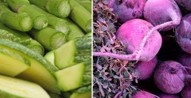 colores alimentos1