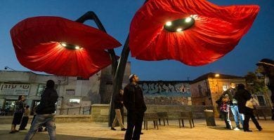 flores jerusalen 06