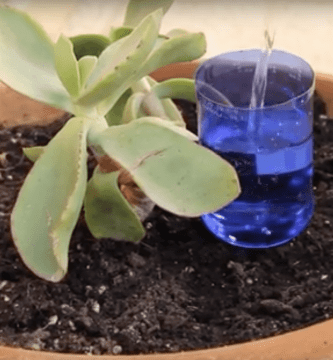 herramientas jardineria