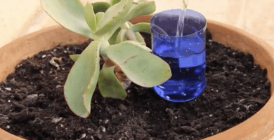 herramientas jardineria