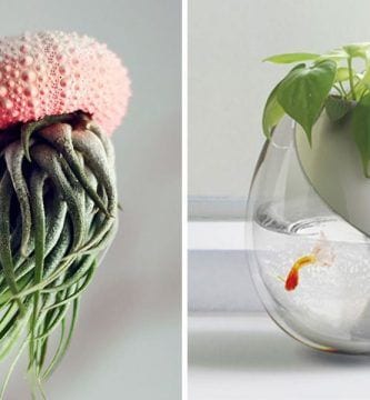 maceteros originales destacada