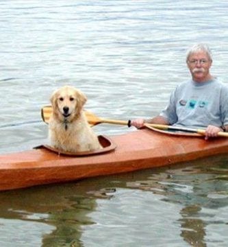 piragua perros destacada