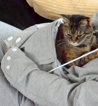 sudadera mewgaroo 03