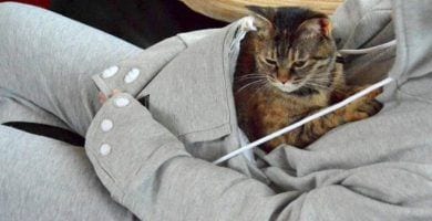 sudadera mewgaroo 03