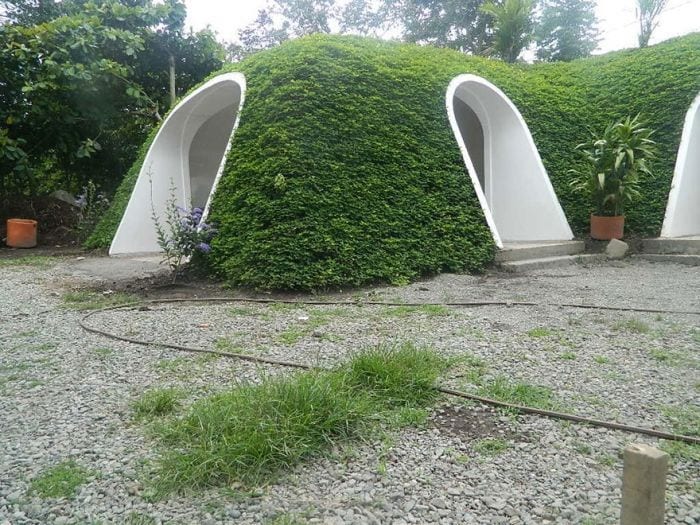 casa tejado vegetal ecologica barata integrada detalle entrada