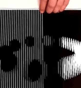 ilusion optica1