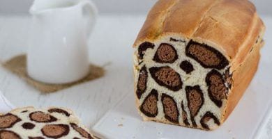 pan leopardo destacada