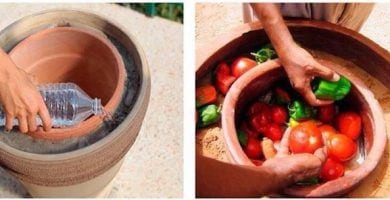pot in post destacada