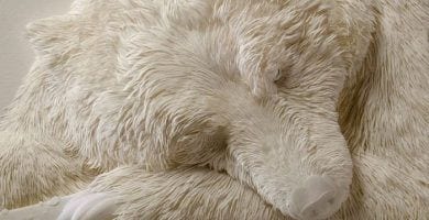 arte animales destacada