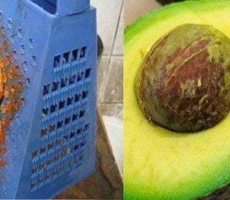 aguacates 10