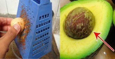 aguacates 10