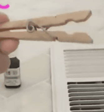 ambientador natural 01