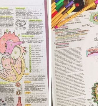 apuntes ordenados destacada