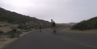 ciclistas avestruz 01