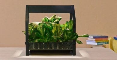 cultivo ikea 12