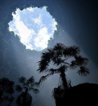 ecosistema cueva hubei 02